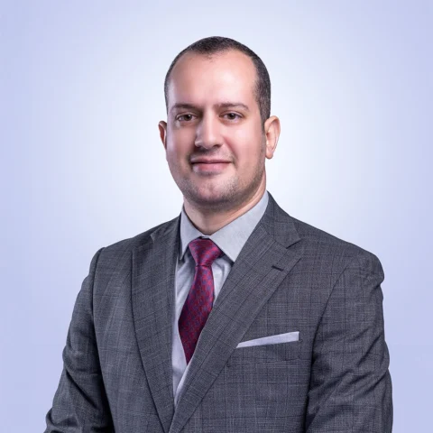 Abdelmoneim Mohamed Moustafa
