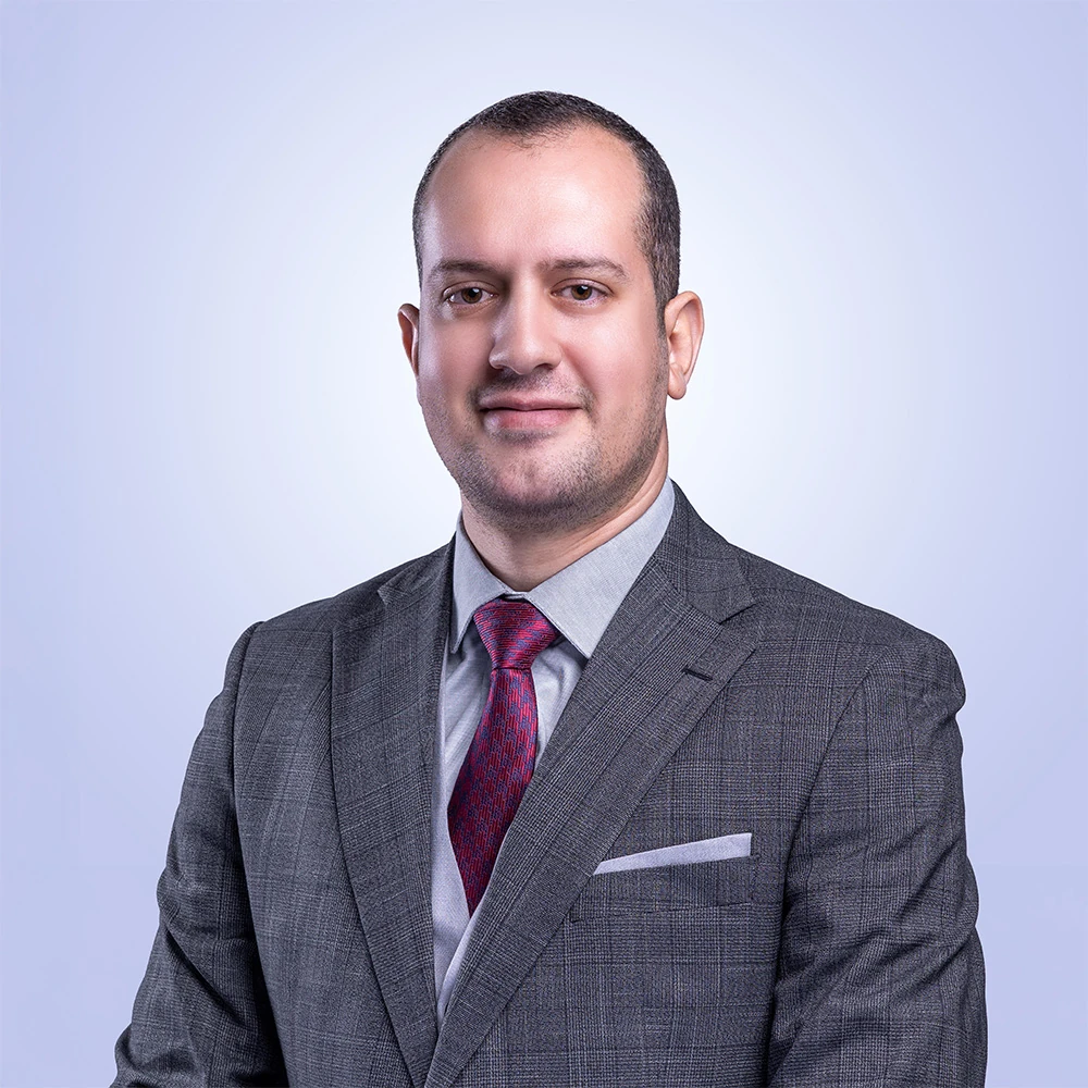 Abdelmoneim Mohamed Moustafa
